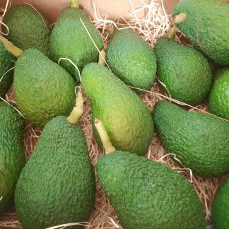 Aguacate ecológico variedad HASS