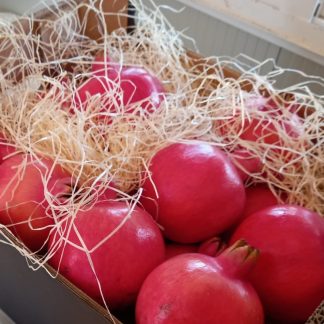 Granadas Ecológicas variedad ACCO
