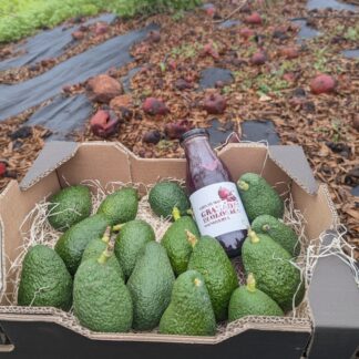 Mix Aguacate ecológico + zumo granada ecológico